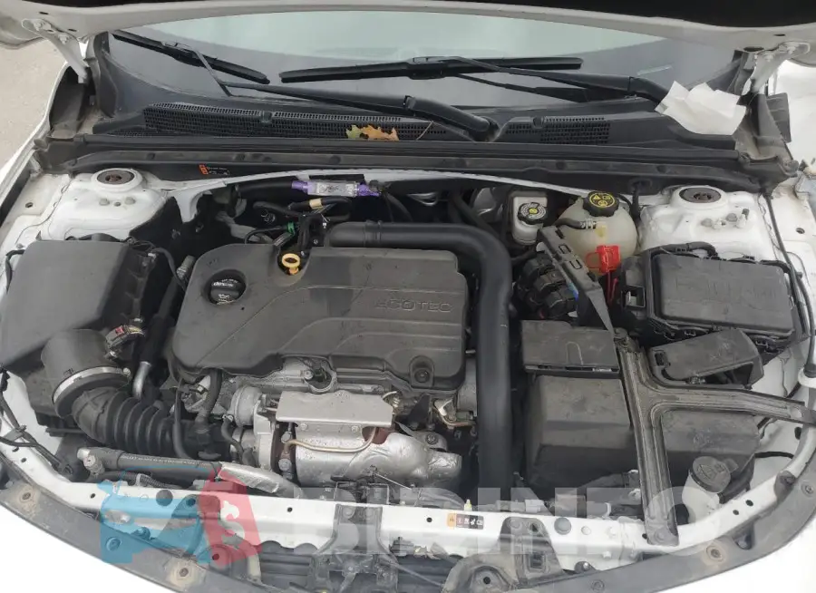 1G1ZD5ST7KF124081 Photo# 11