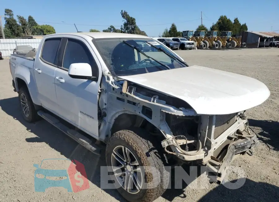 1GCGTCEN4M1294613 Photo# 4