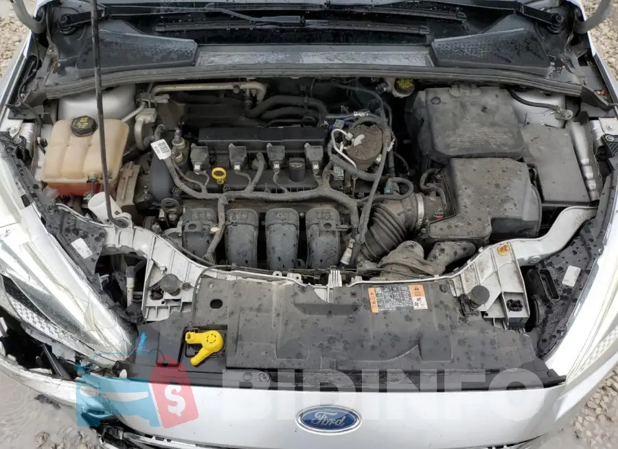 1FADP3E25GL244959 Photo# 11