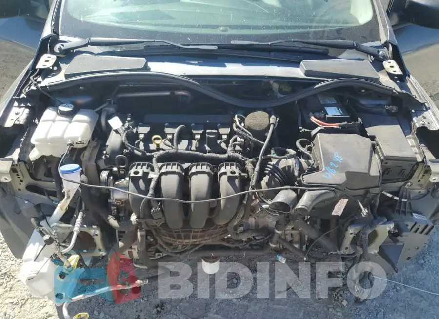 1FADP3E29GL225802 Photo# 11