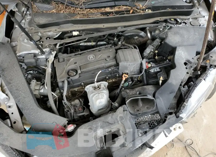 19UUB1F35JA004948 Photo# 11