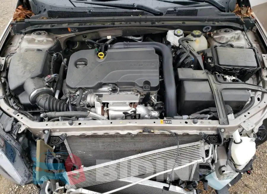 1G1ZD5ST1PF181819 Photo# 11
