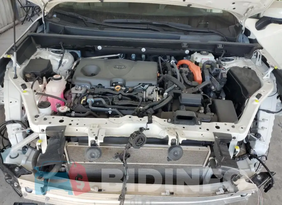 4T3D6RFV7MU024806 Photo# 12