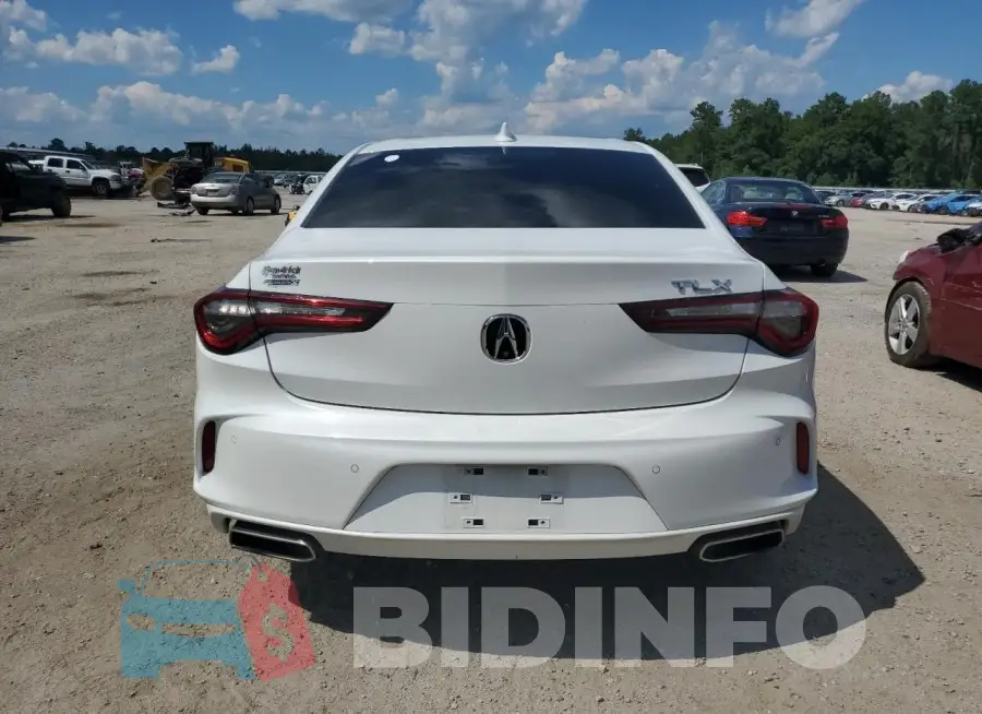 19UUB5F69MA013724 Photo# 6