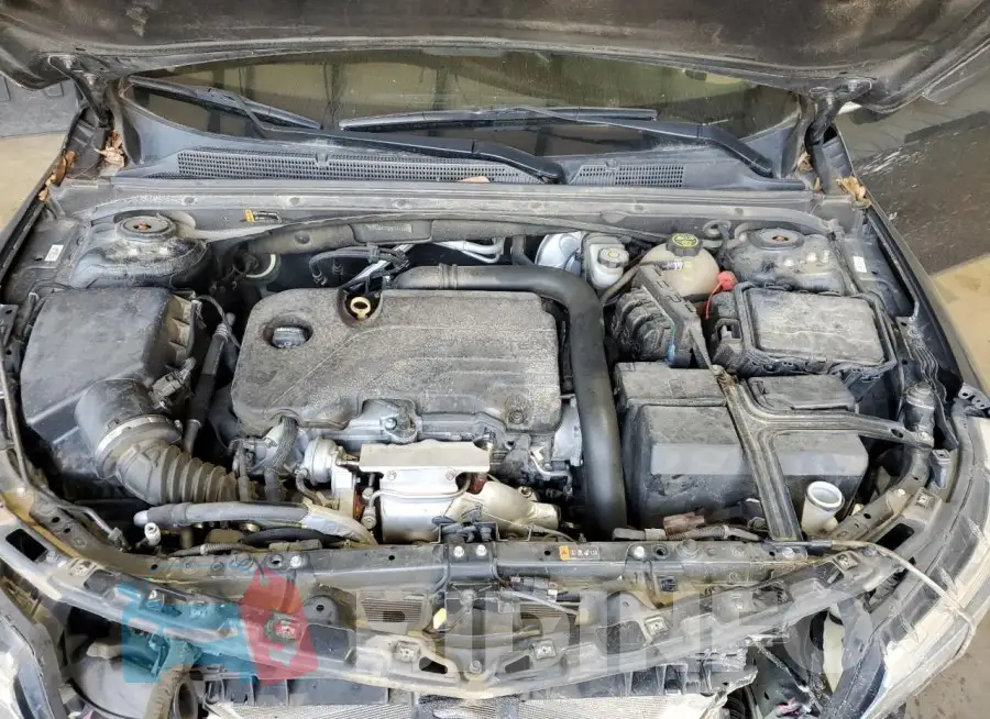 1G1ZB5ST0HF281188 Photo# 11