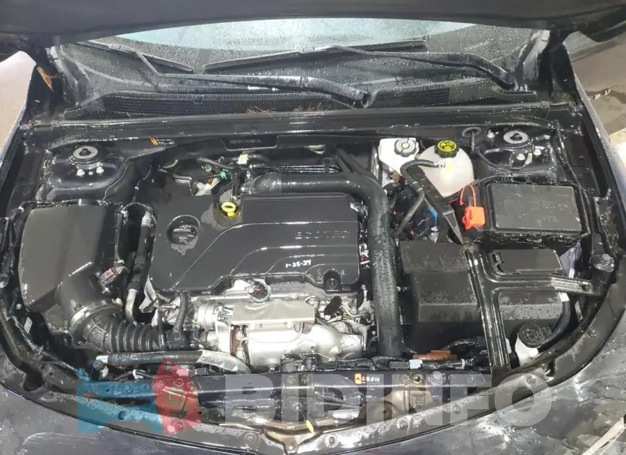 1G1ZD5ST0PF239113 Photo# 11
