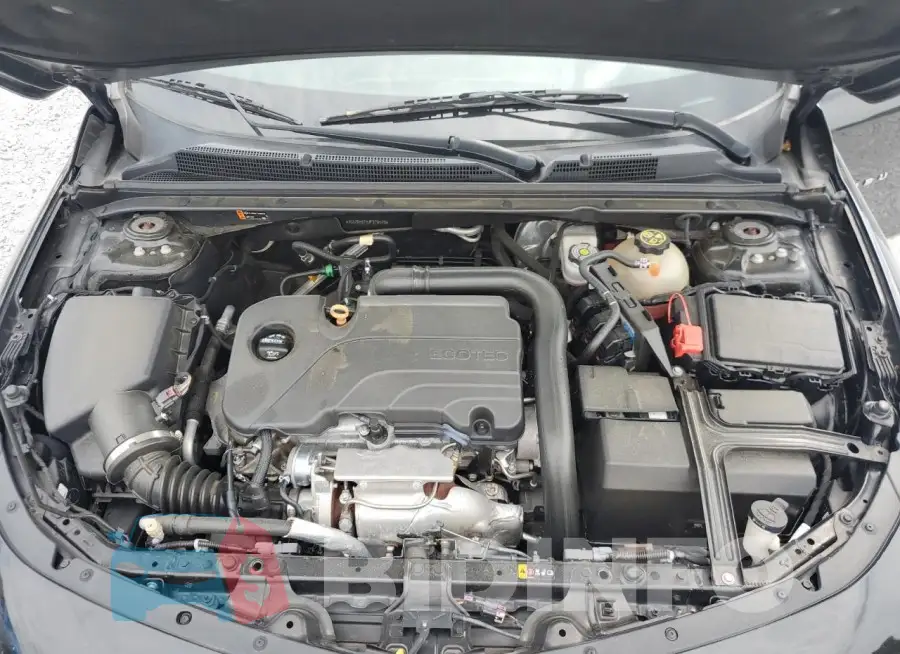 1G1ZD5ST5JF276570 Photo# 11