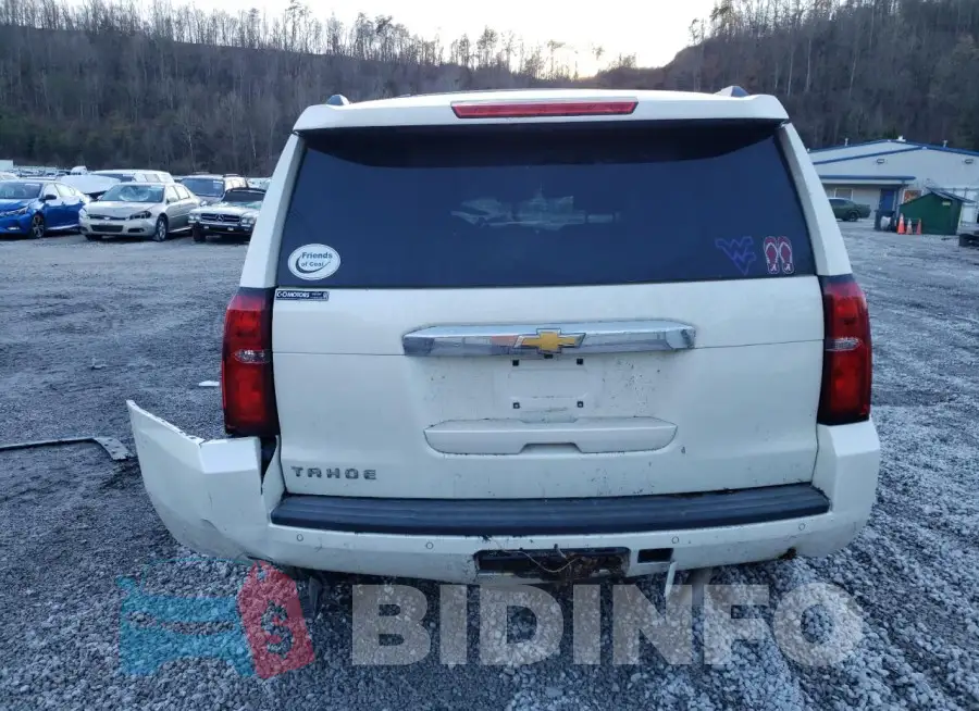1GNSKBKC9FR115147 Photo# 6