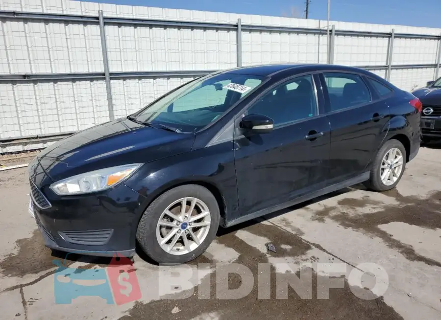 1FADP3F29GL238404 Photo# 1