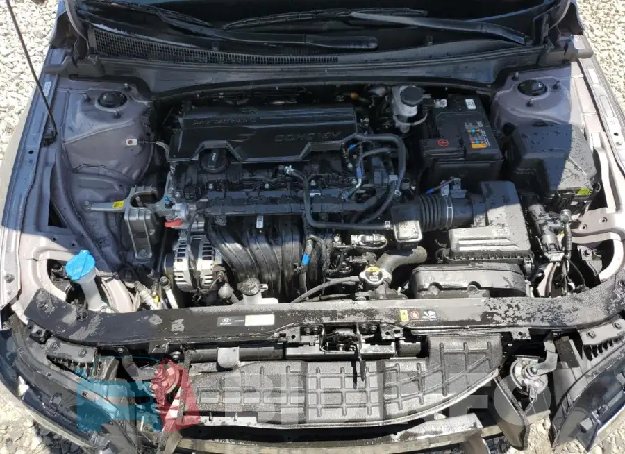 KMHLM4DG5RU636446 Photo# 11