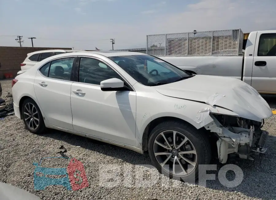 19UUB2F52FA005795 Photo# 4