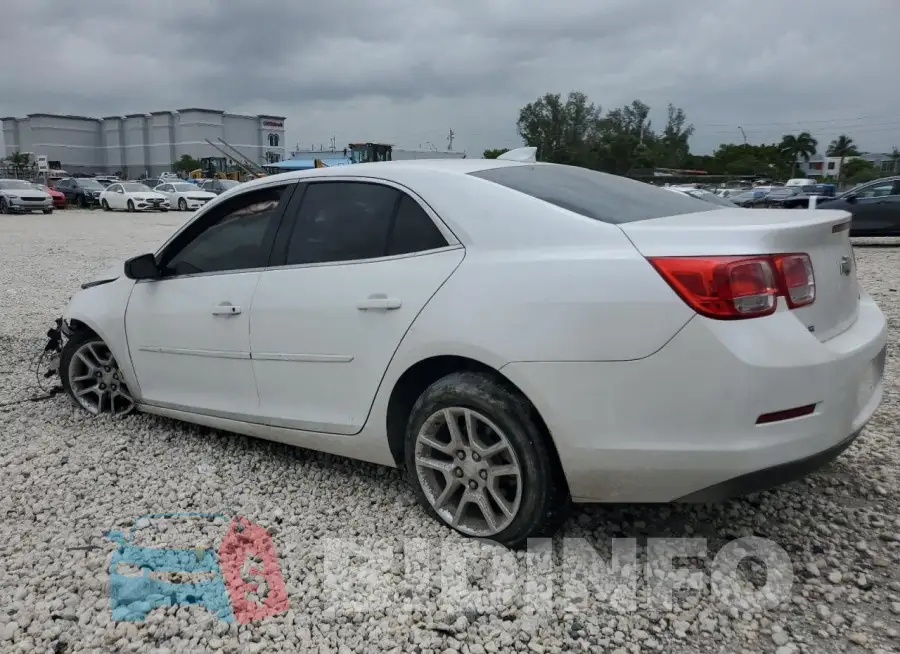 1G11C5SL0FF126678 Photo# 2