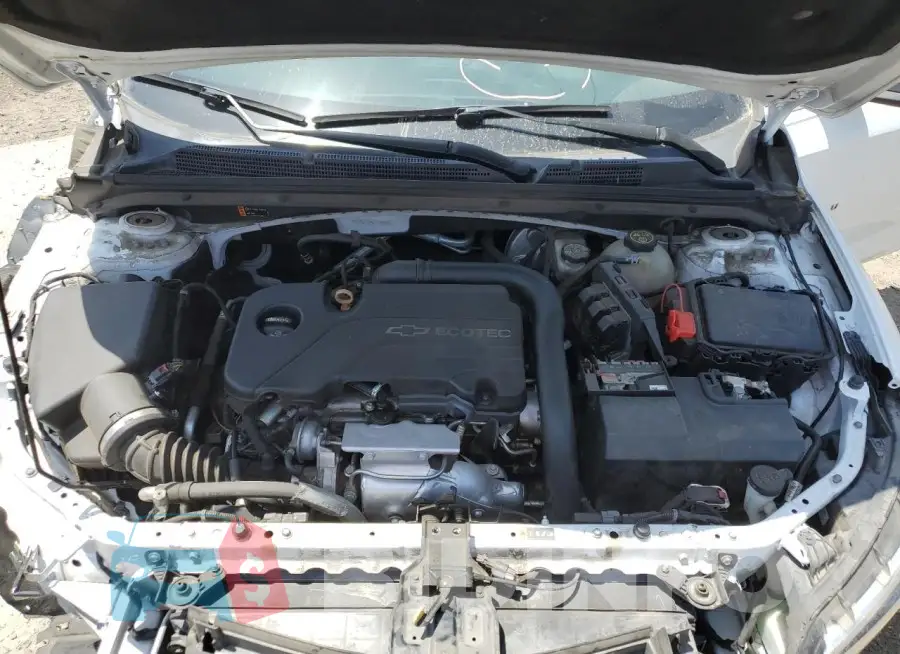 1G1ZB5ST6HF252987 Photo# 11