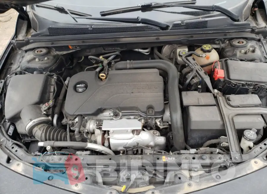 1G1ZD5ST7KF129944 Photo# 11