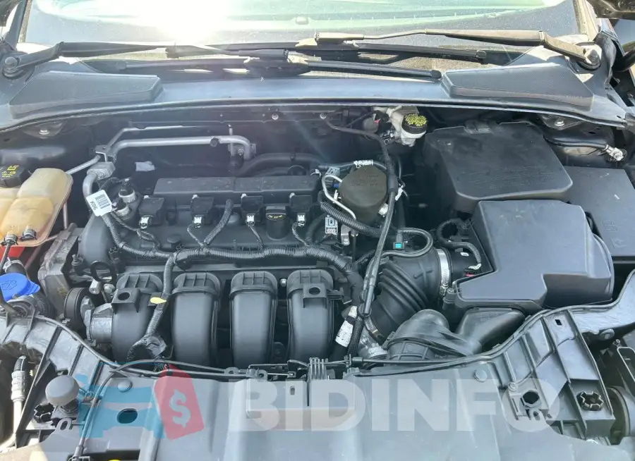 1FADP3F24FL241662 Photo# 7