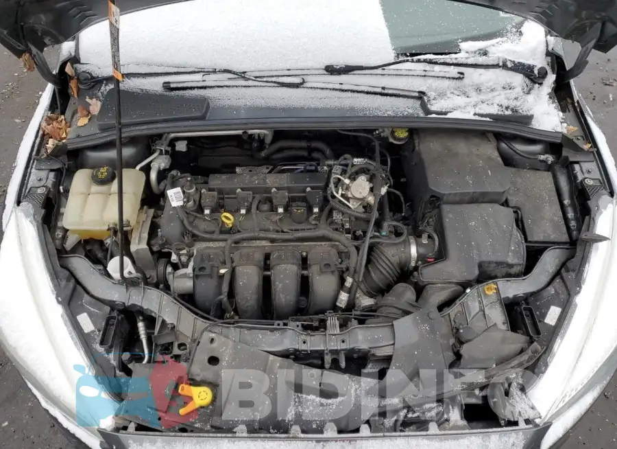 1FADP3F24GL394351 Photo# 11