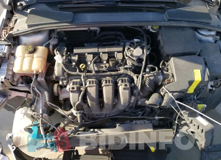 1FADP3F26GL403647 Photo# 11