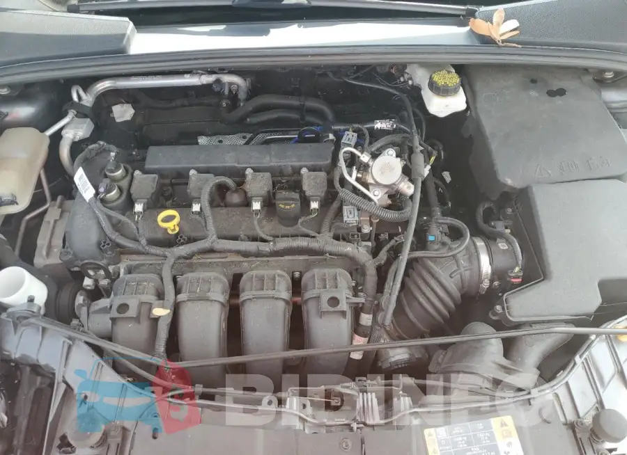 1FADP3F28HL322621 Photo# 11
