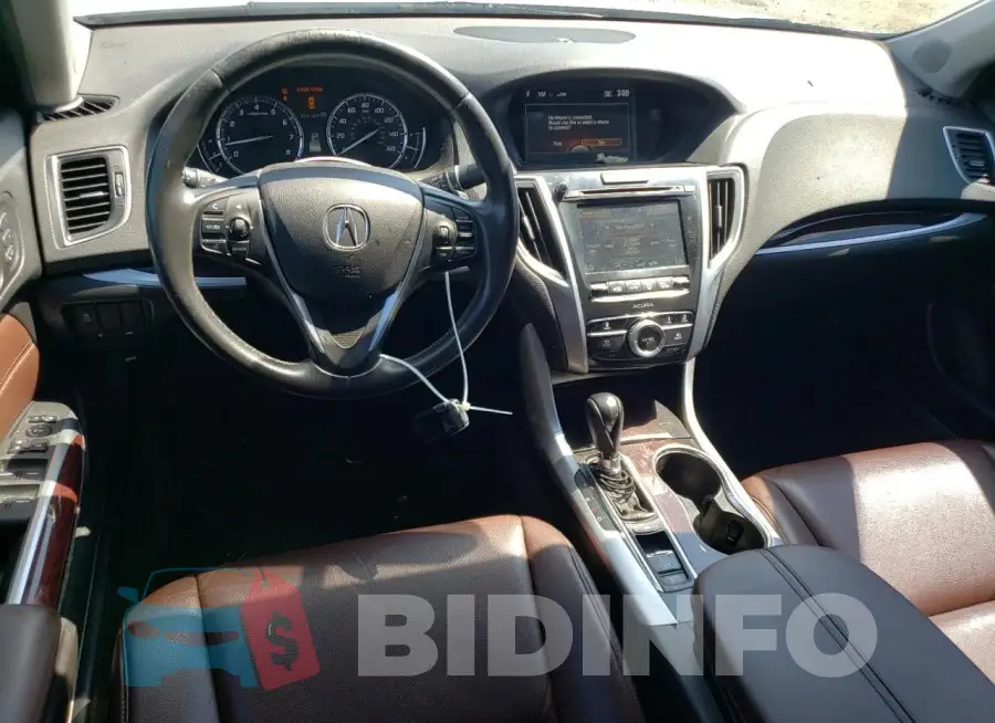 19UUB1F38FA012873 Photo# 8