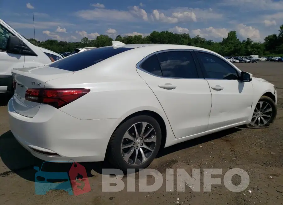19UUB1F38FA012873 Photo# 3