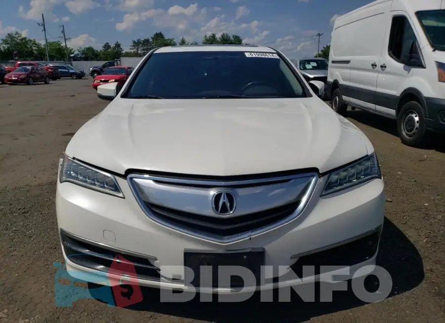 19UUB1F38FA012873 Photo# 5