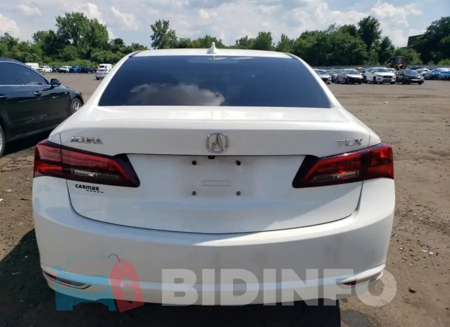 19UUB1F38FA012873 Photo# 6