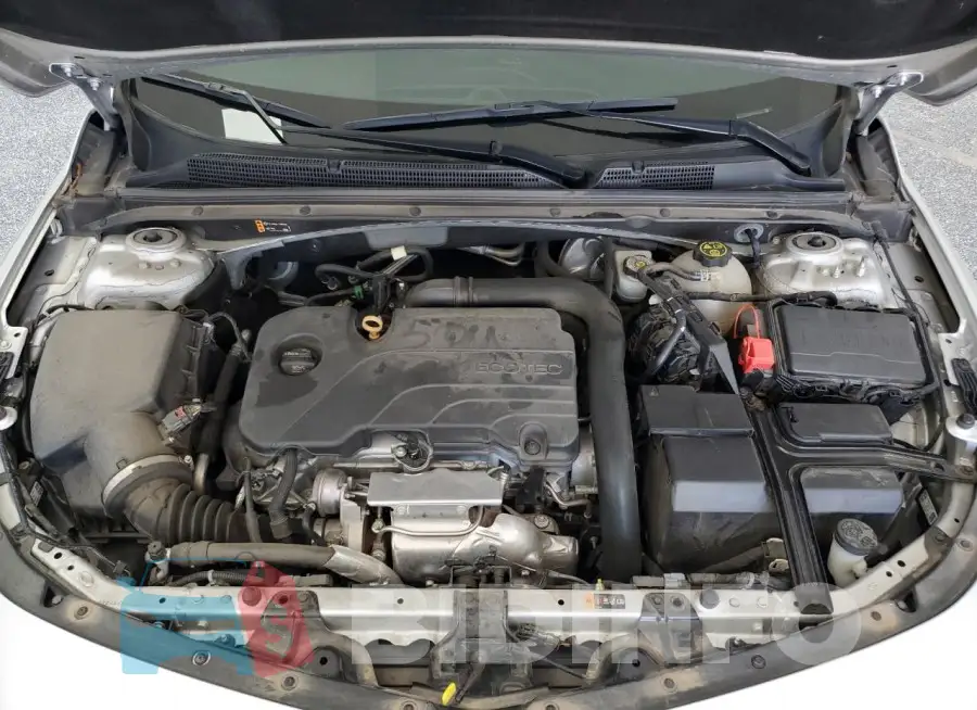 1G1ZD5ST1MF066343 Photo# 11