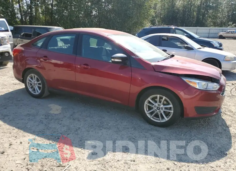 1FADP3F21GL363686 Photo# 4