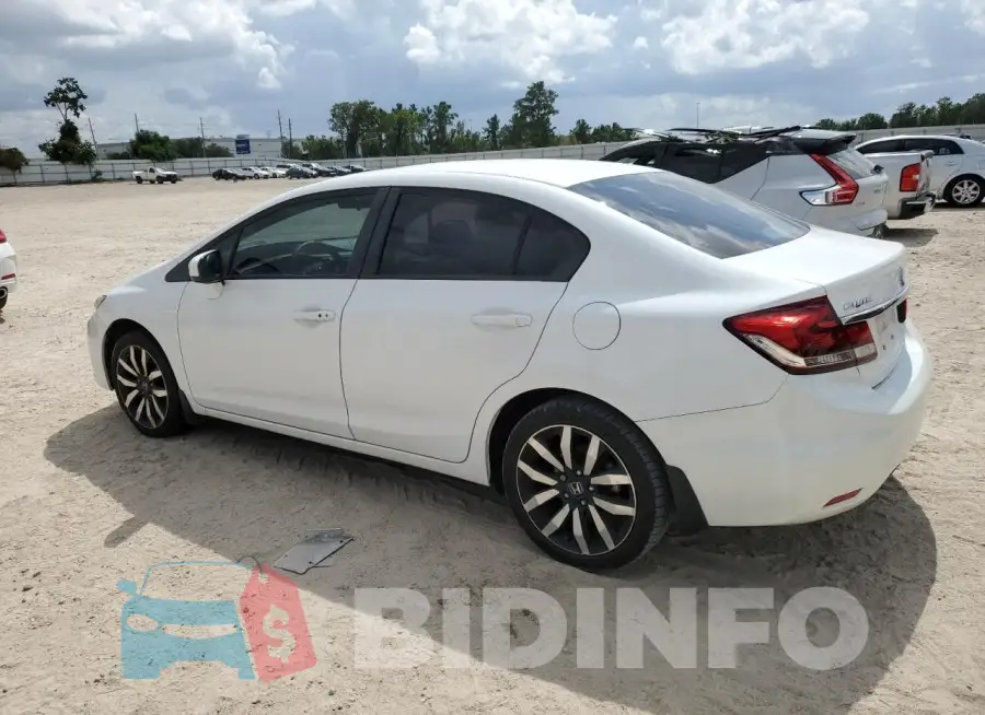 19XFB2F91FE062237 Photo# 2