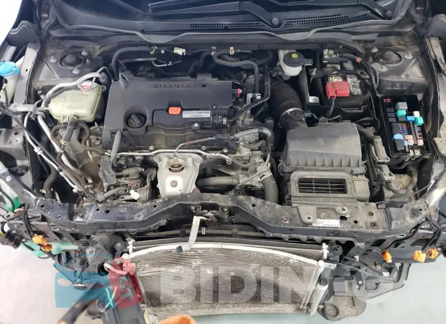 19XFC2F73HE216963 Photo# 11