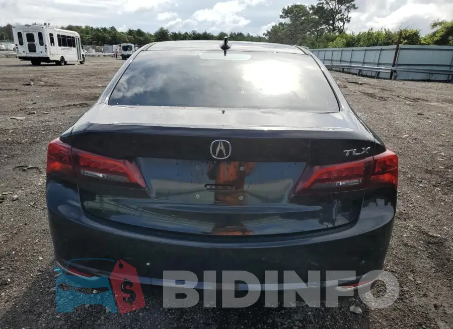 19UUB1F33GA005699 Photo# 6