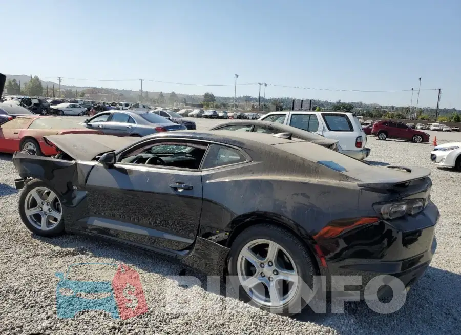 1G1FB1RX8M0134036 Photo# 2