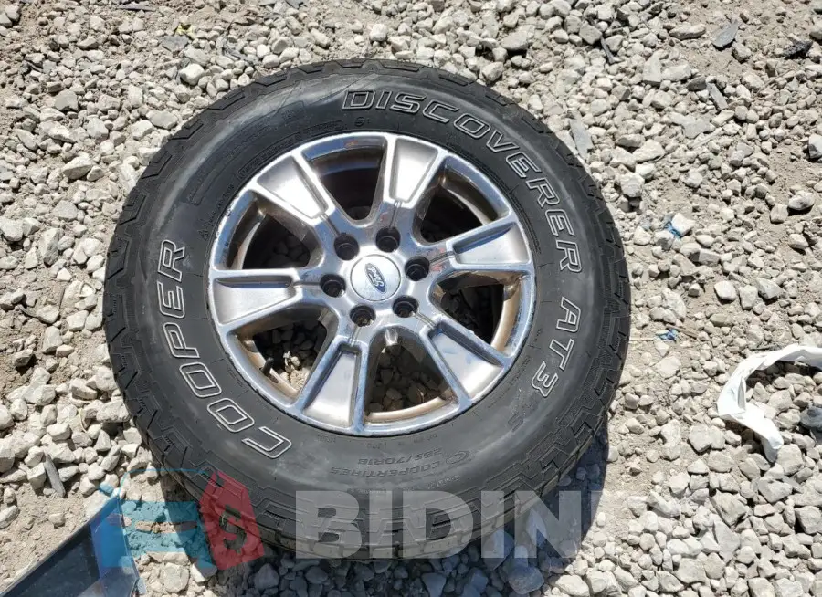 1FTEW1EGXFKD80994 Photo# 12