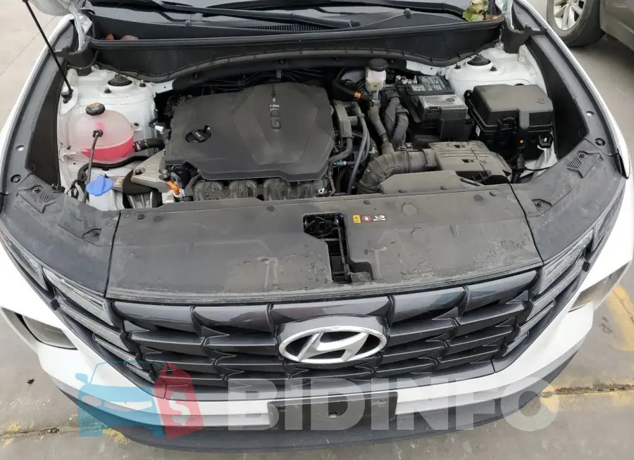 5NMJFCAE5PH212272 Photo# 11