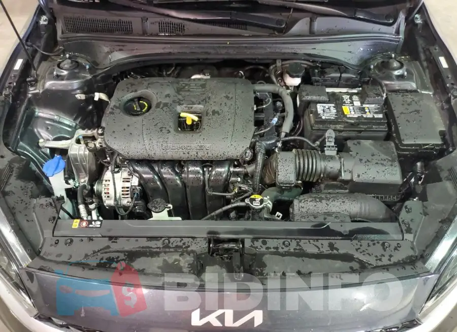 3KPF24AD1RE726516 Photo# 11
