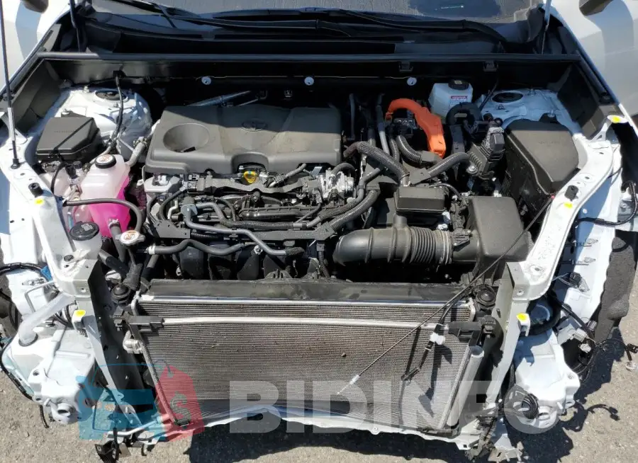 JTMB6RFV6RD555040 Photo# 12