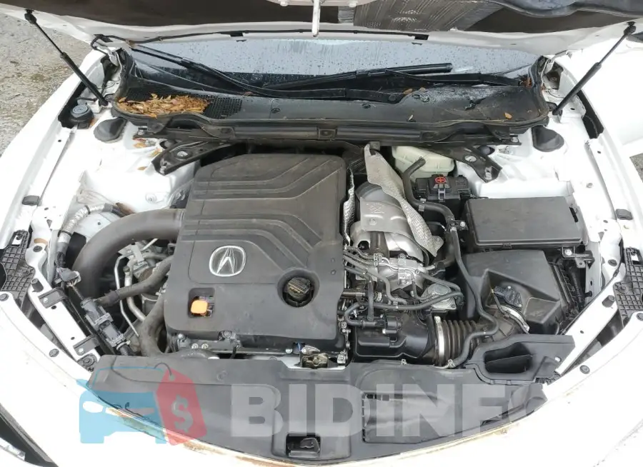 19UUB7F01MA001493 Photo# 11