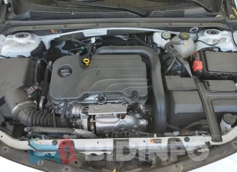 1G1ZD5ST6PF226866 Photo# 11