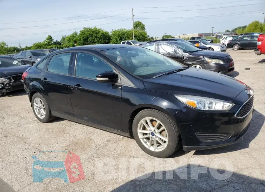 1FADP3F2XGL262291 Photo# 4