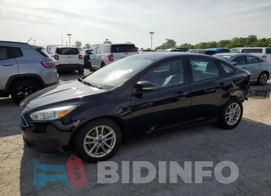 1FADP3F2XGL262291 Photo# 1