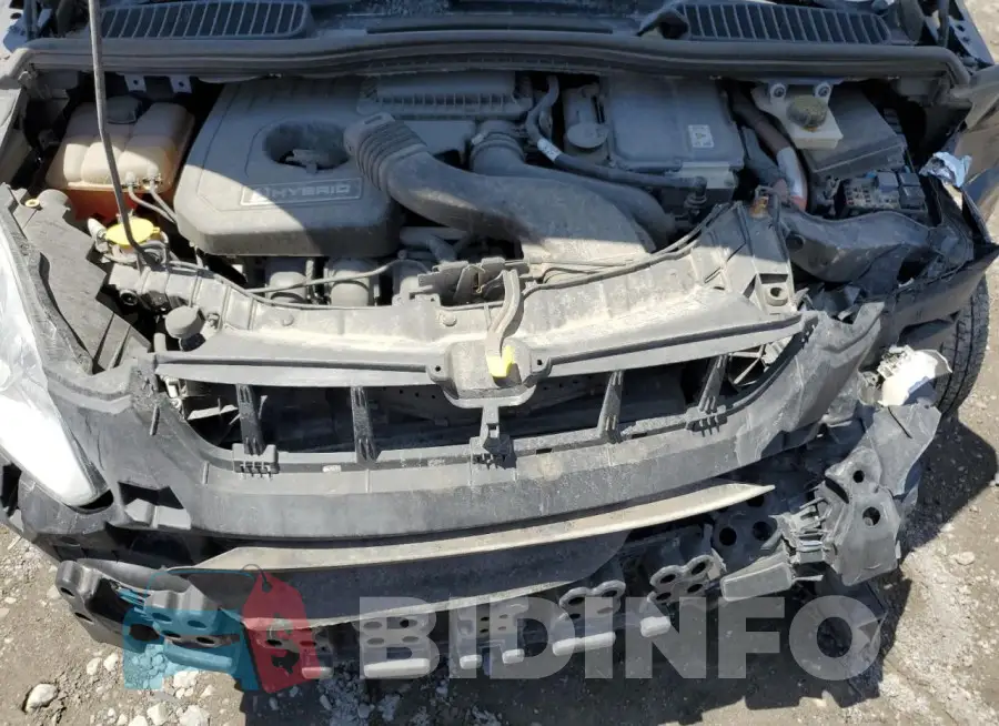 1FADP5AU1GL117354 Photo# 11