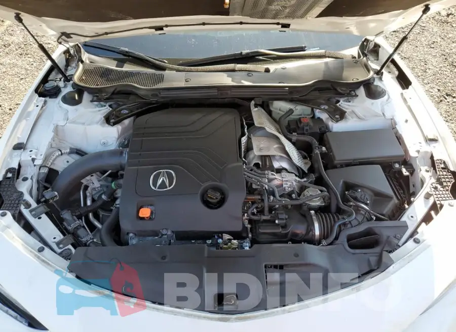 19UUB7F03MA000183 Photo# 11
