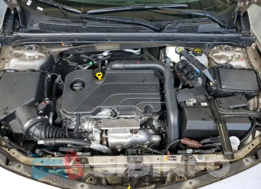 1G1ZE5ST4RF216689 Photo# 11