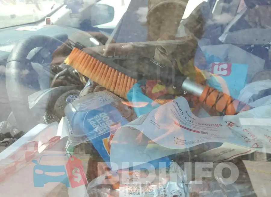 1FADP3F22GL324878 Photo# 7