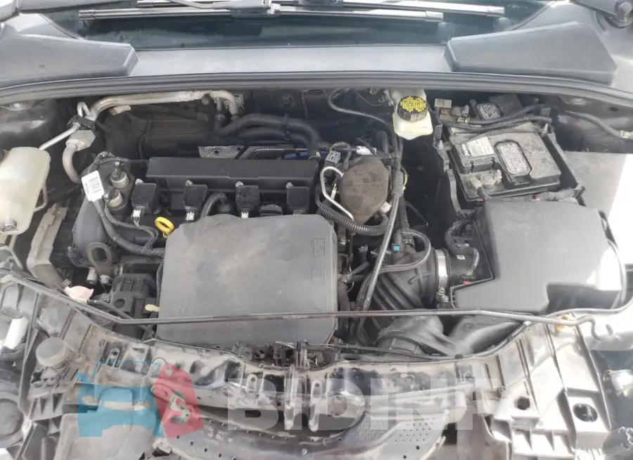 1FADP3F22JL207521 Photo# 11