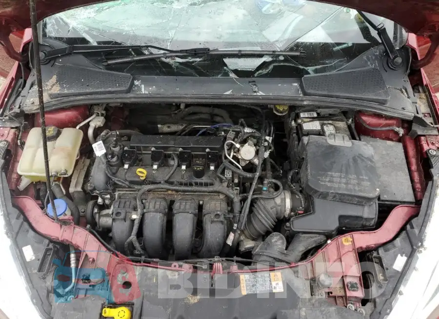 1FADP3F24GL328592 Photo# 11