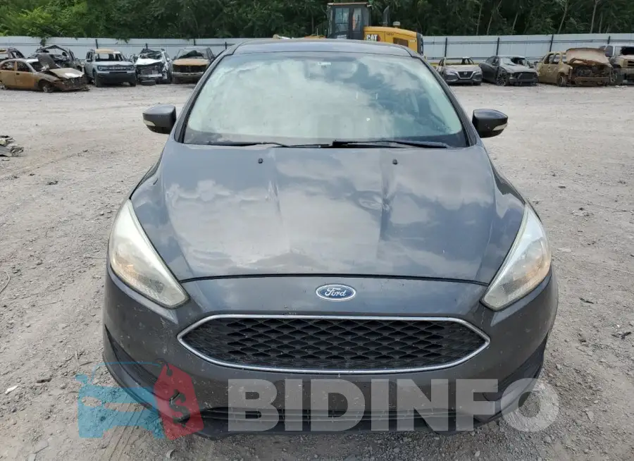 1FADP3F24HL249571 Photo# 5