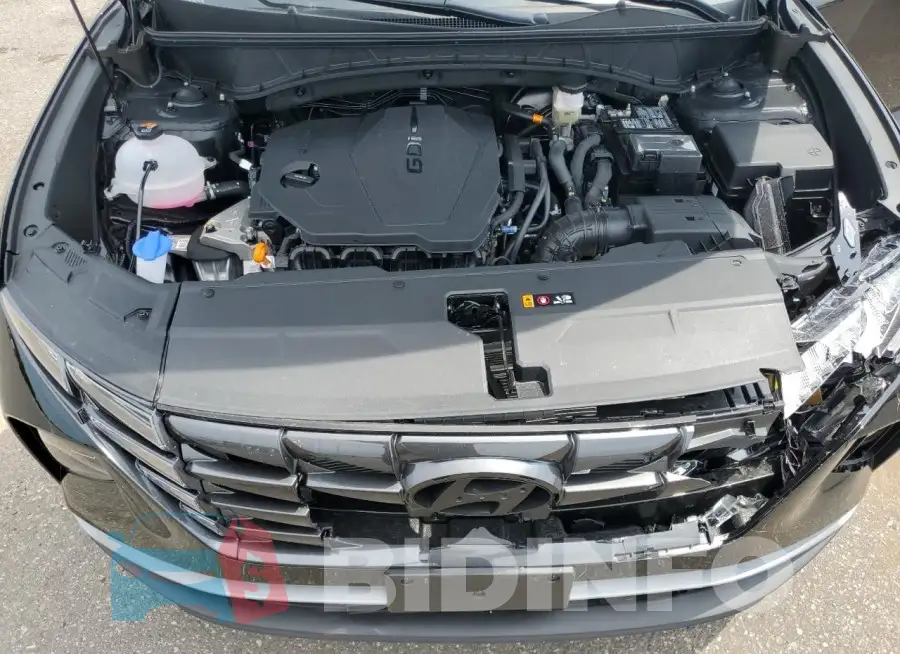 5NMJBCDE1RH402676 Photo# 12