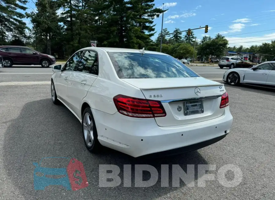 WDDHF8JB9FB138445 Photo# 4