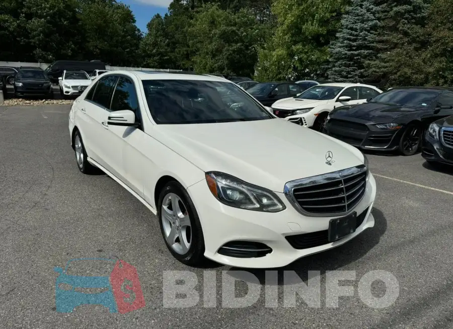 WDDHF8JB9FB138445 Photo# 2